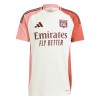 Conjunto (Camiseta+Pantalón Corto) Olympique Lyonnais Tercera Equipación 2024-25 - Niño